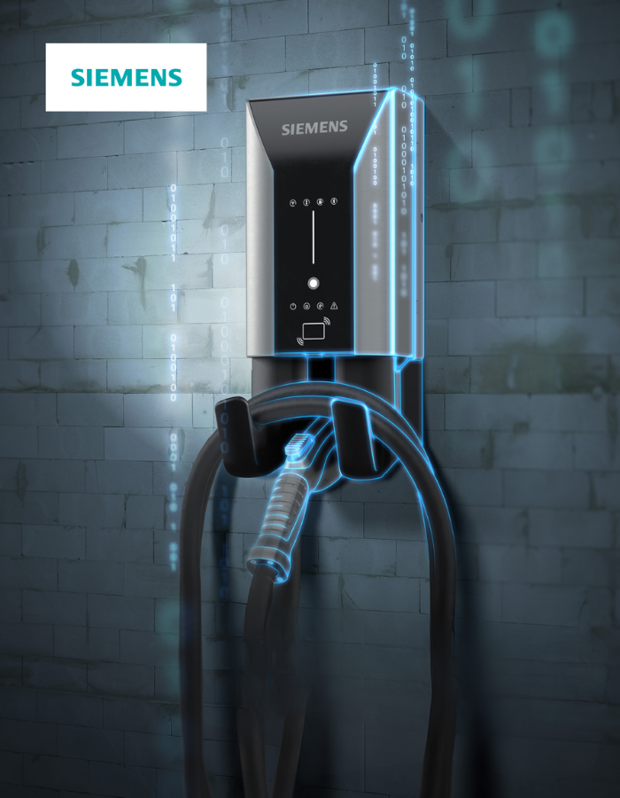 Image Title Alt Image